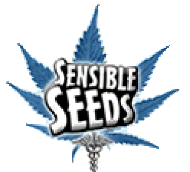Blackberry Kush - Feminized - Bulk Seeds