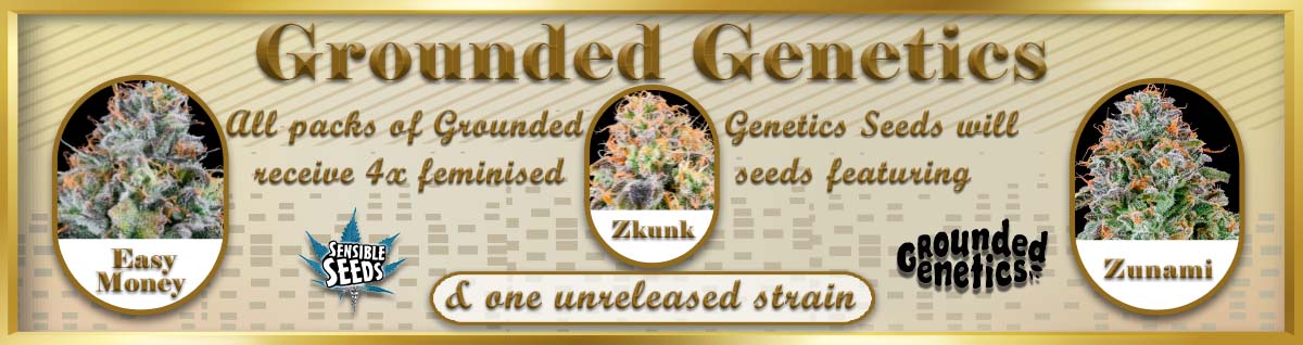 Seed Bank - : grounded-genetics