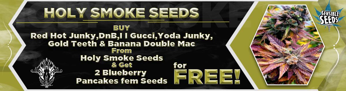Seed Bank - : holy-smoke-seeds
