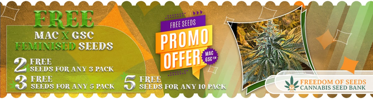 Seed Bank - : freedom-of-seeds