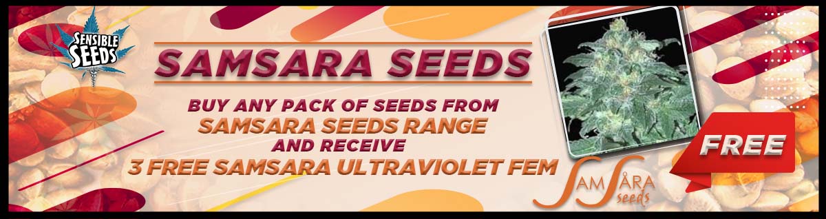 Seed Bank - : samsara-seeds