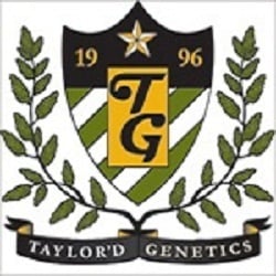 Taylor'd Genetics Seeds