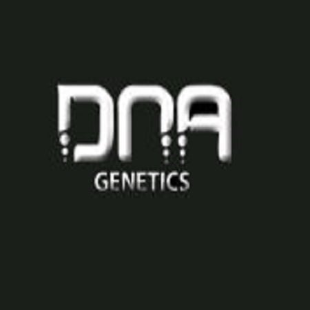 DNA Genetics Seeds GYO Collection
