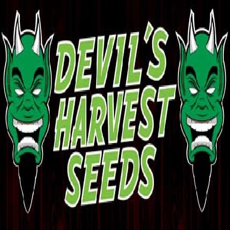 Devil's Harvest Seeds