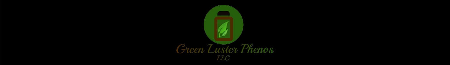Green Luster Phenos