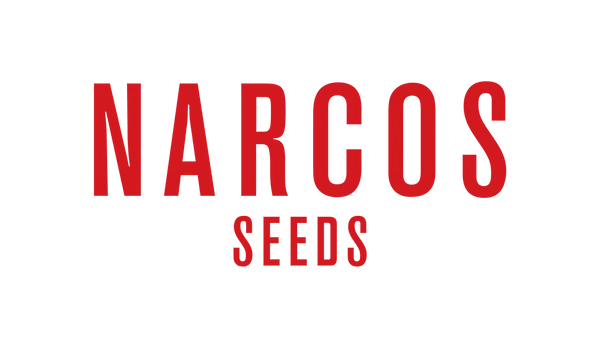 Narcos Seeds