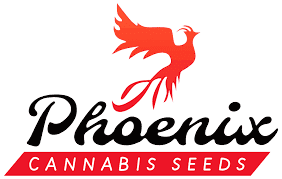 Phoenix Seeds