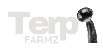 Terp Farmz Seeds