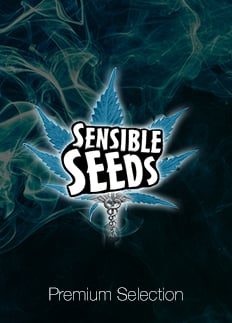 Bulk Seeds Premium