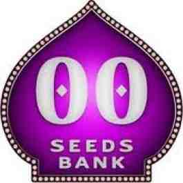 OO Seeds