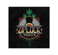Ziplock Seeds