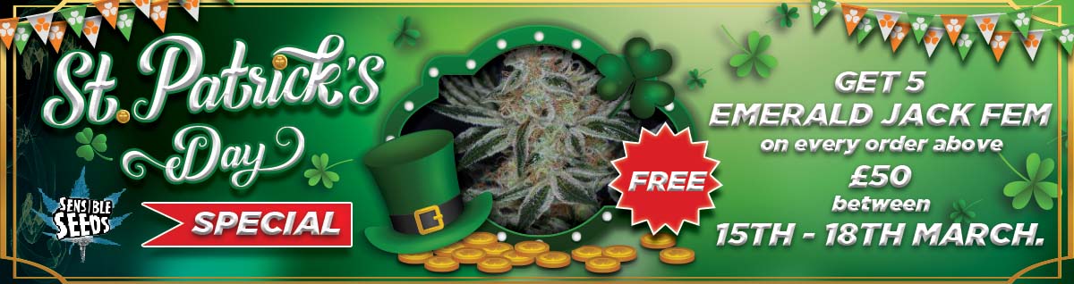 Happy st patrick's day - 5 free cannabis seeds