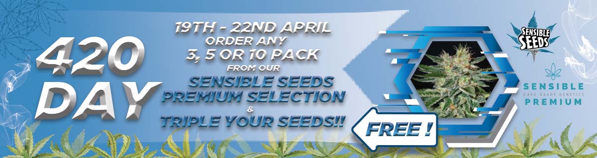 Happy 420 day -  Triple Seed Offer