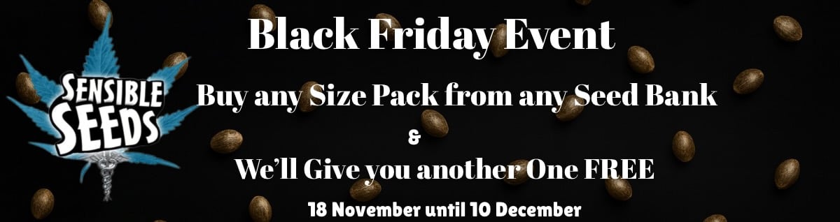 Sensible Seeds  Black Friday