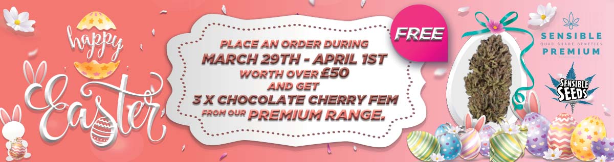 Happy Easter - 3 free Chocolate Chrrey seeds order over £50