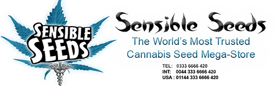Sensible Seeds -The leading Online Supplier of Quality Marijuana Seeds