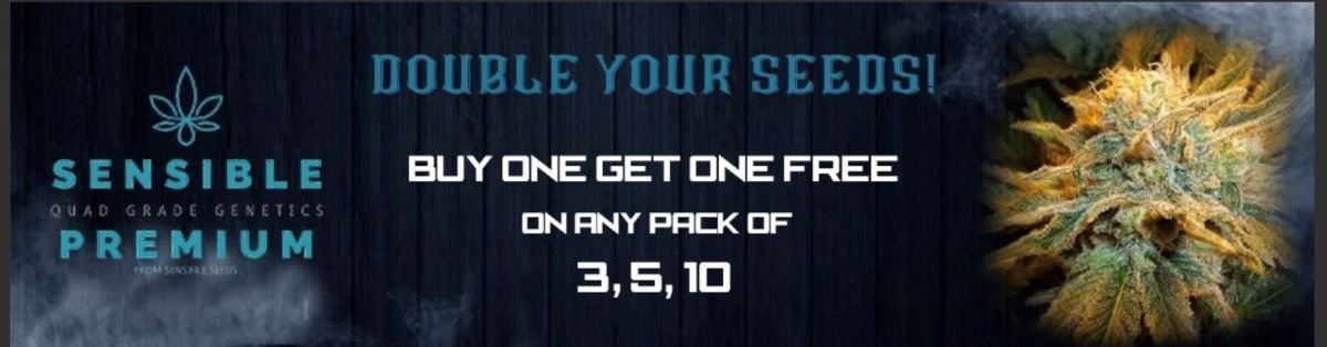Free Seed offer - Sensible Seeds Premium Selection