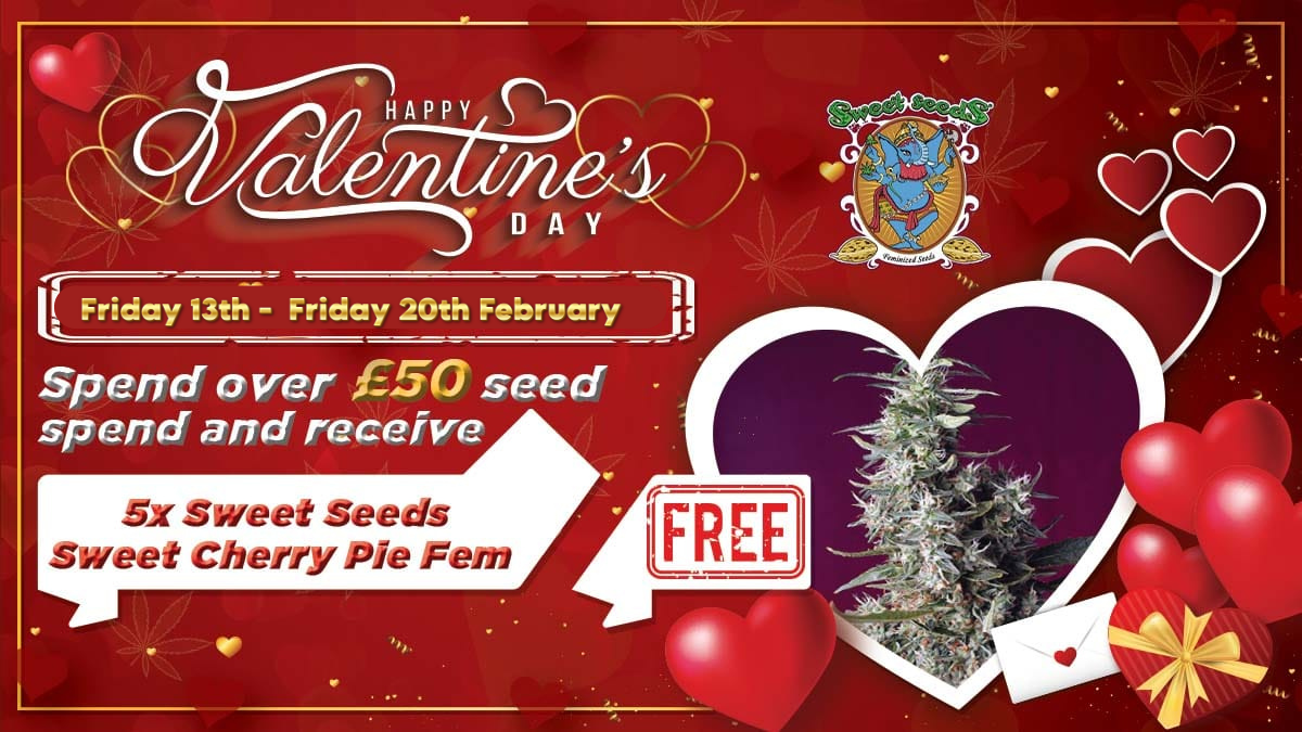 Happy Valentines from Sensible Seeds