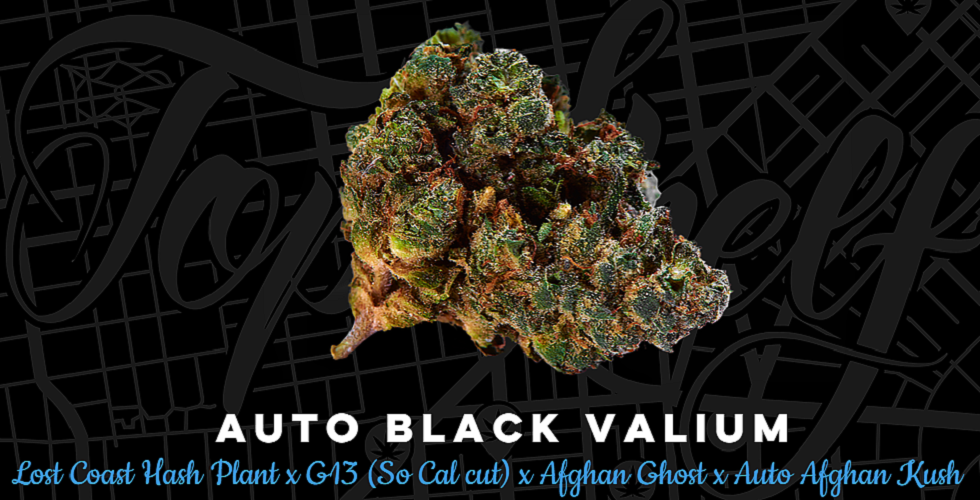 Top Shelf Elite Seeds Auto Black Valium Feminized