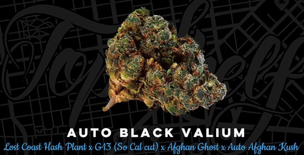 Top Shelf Elite Seeds Auto Black Valium Feminized