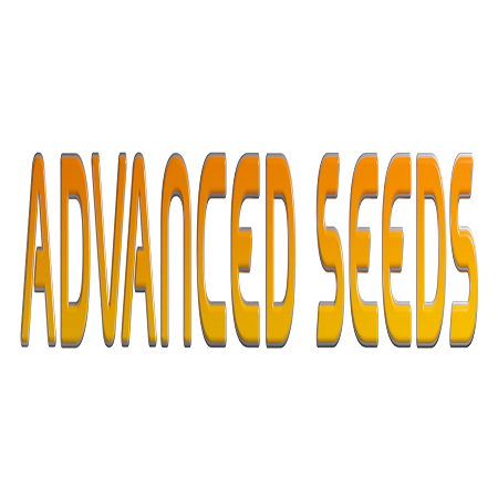 Strawberry Gum CBD - Feminized - Advanced Seeds