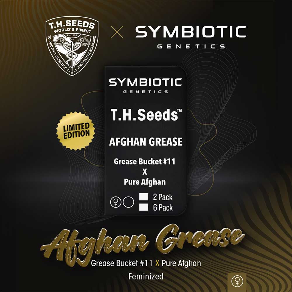 T.H.Seeds & Symbiotic Genetics - Afghan Grease - Feminized (CLONE)