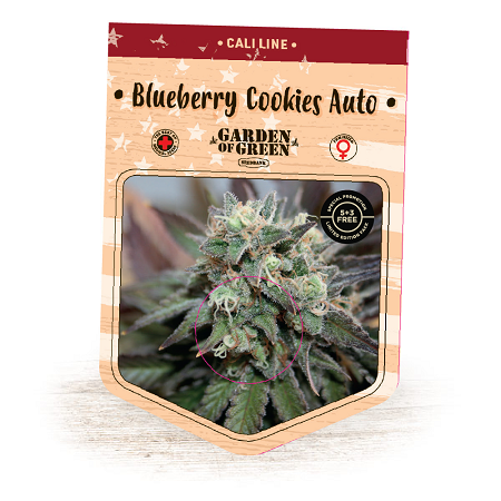 Blueberry Cookies Auto – Feminized – Garden of Green