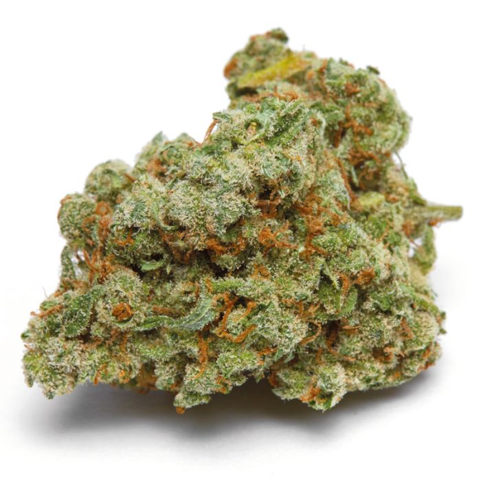 Growers Choice - Banana Sherbet Feminised