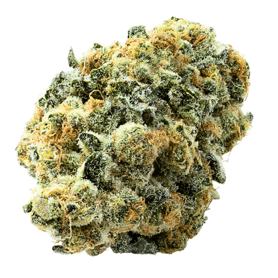 Terp Farmz - Black Zushi - Feminised