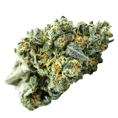 Terp Farmz - Blue Zushi Auto - Feminised