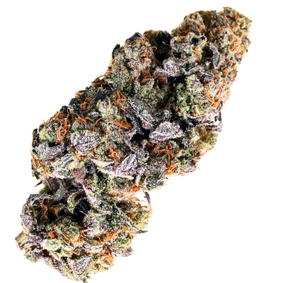 Terp Farmz - Choc Truffle Auto - Feminised