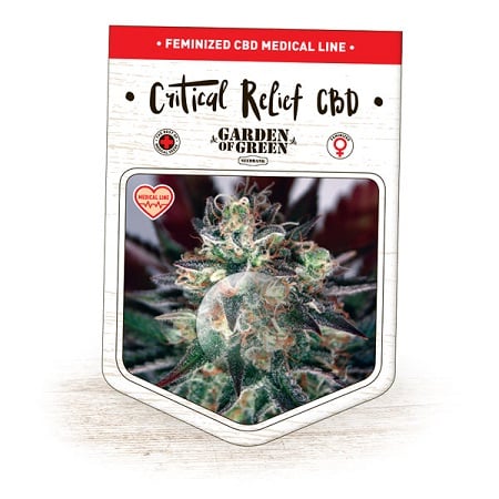 Critical Relief CBD - Feminized - 2022 Cannabis Seed Collection
