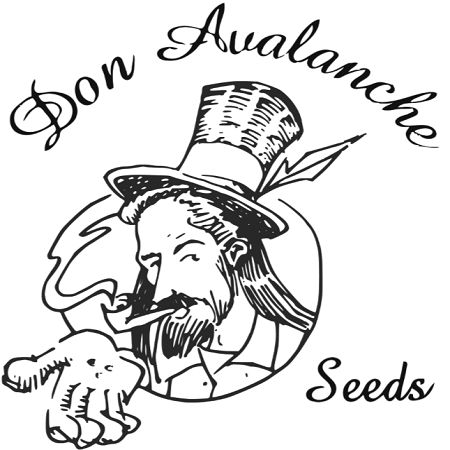 Don Forbidden Fruit - Feminized - Don Avalanche Seeds