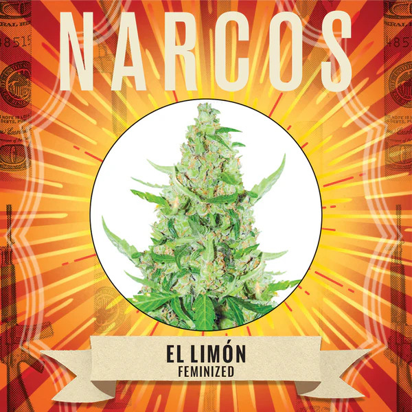 Narcos Seedbank - El Limon Feminized