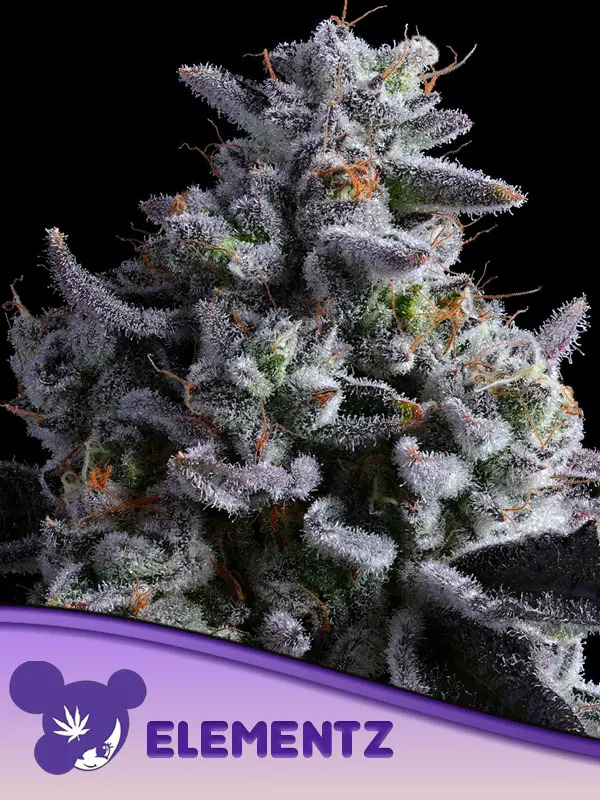 Elementz Feminized Seeds - Anesia Seeds