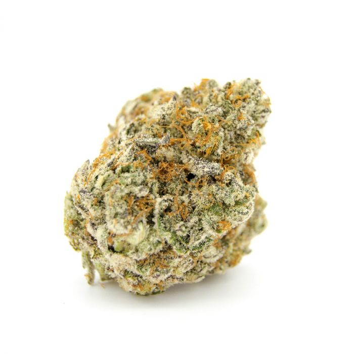 Growers Choice - Forbidden Runtz Double XL Auto - Feminized 