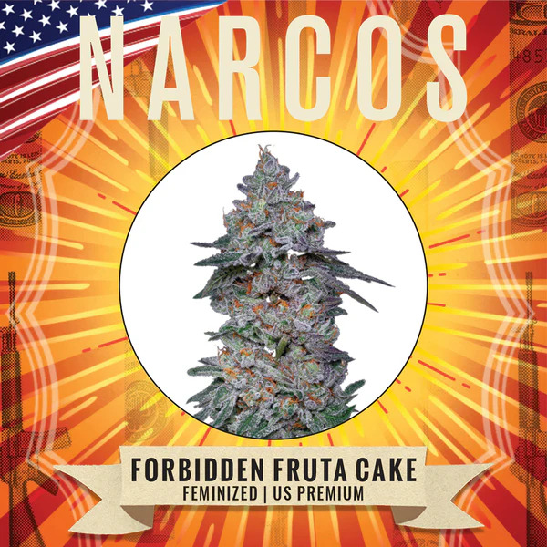 Narcos Seedbank - Forbidden Fruta Cake Feminized Narcos Seedbank - Forbidden Fruta Cake Feminized