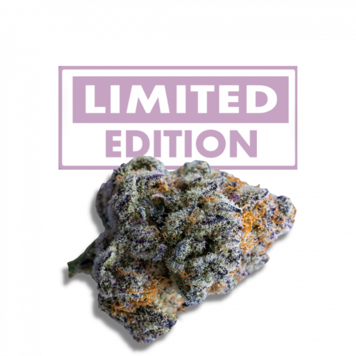 PLATINUM MIMOSA COOKIES DOUBLE XL AUTO - GROWERS CHOICE