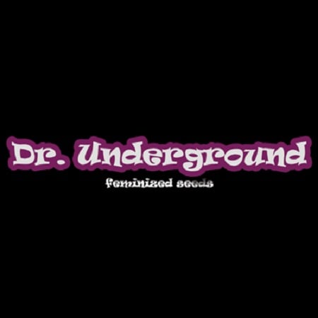 Dr Underground Seeds Hell Stone Feminized