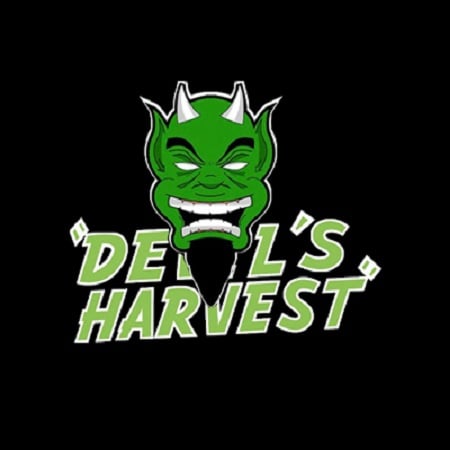 Devil’s Harvest Seeds Hell’s Bells Regular