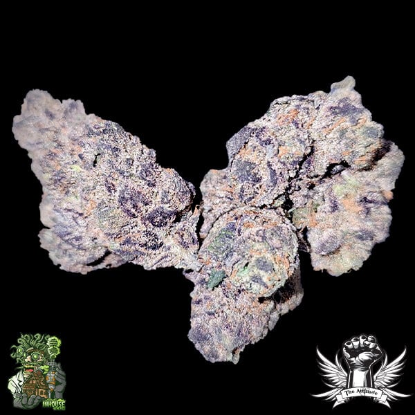 In House Genetics Midnight Drip - Regular