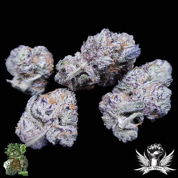 In House Genetics Permanent Velvet - Feminized