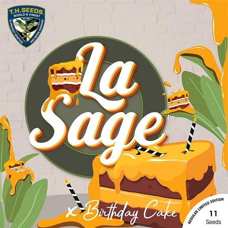 LA S.A.G.E. Cake - Regular - T.H.Seeds