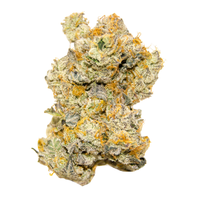 Growers Choice - Limited Edition White Truffle Auto - Feminized Growers Choice - Limited Edition White Truffle Auto - Feminized