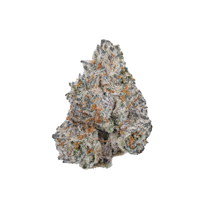 Limited Edition White Truffle - Feminized - Growers Choice 