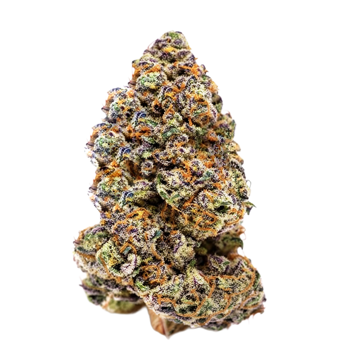 Growers Choice - Milkshake Nerdz Feminised