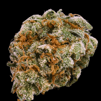 Terp Farmz - Mint Trufflez - Feminised