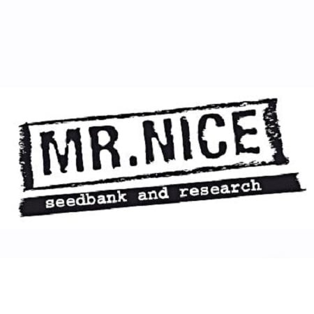 Mr Nice Seeds U2 Regular