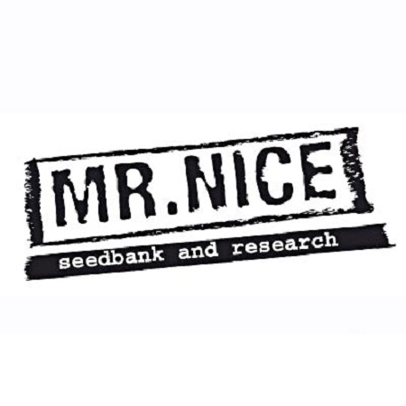 Mr Nice Seeds The Cure Regular