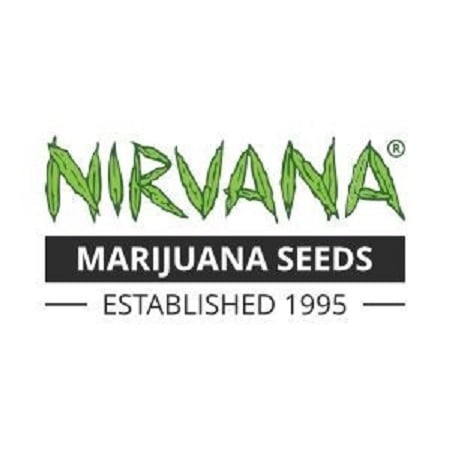 Blueberry - Feminized - Nirvana Seeds